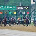bet stakes ideas